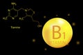 Chalkboard button with vitamin b1. Heart icon vector. Magnesia capsule. Molecular food