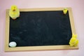Chalkboard with chicks and easter egg