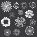 Chalkboard Floral Elements Set