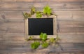 Chalkboard green vine leaves decoration Royalty Free Stock Photo