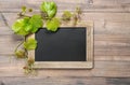 Chalkboard green vine leaves decoration wooden background Royalty Free Stock Photo