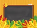 Chalkboard, maple leaves, back to school, vector Royalty Free Stock Photo