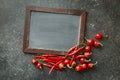 Chalkboard and red chili peppers. Royalty Free Stock Photo