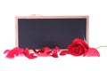 Chalkboard sign blank text message with red rose Royalty Free Stock Photo