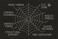 Chalkboard spider web diagram with humorous labels Royalty Free Stock Photo