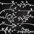 Chalkboard Style Branch Silhouettes Royalty Free Stock Photo