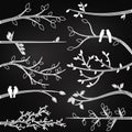 Chalkboard Style Branch Silhouettes Royalty Free Stock Photo