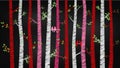 Chalkboard Valentine`s Day Birch Tree or Aspen Silhouettes with Lovebirds
