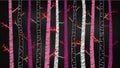 Chalkboard Valentine`s Day Birch Tree or Aspen Silhouettes with Lovebirds