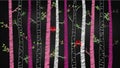 Chalkboard Valentine`s Day Birch Tree or Aspen Silhouettes with Lovebirds