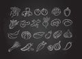 Chalked white line sketch vegetable icon set