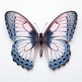 Chalkhill Blue Butterfly Art: Petrina Hicks Style With Pink And Black Wings