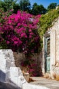 Chalki town center on Chalki island, Dodecanese islands, Greece morning time Royalty Free Stock Photo