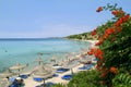 Chalkidiki beach with bughenvilla plant Royalty Free Stock Photo