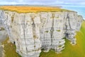 chalky limestone cliff face