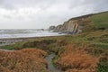 Challaborough Bay, Devon Royalty Free Stock Photo