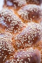 Challah Bread with Sesame Seeds. Close Up View Royalty Free Stock Photo