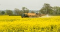 Challenger Rogator sprayer in action spraying rapeseed oil in full flower Royalty Free Stock Photo