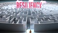 A challenging and complicated path to find and obtain Resiliency Royalty Free Stock Photo