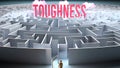 A challenging and complicated path to find and obtain Toughness