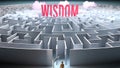 A challenging and complicated path to find and obtain Wisdom