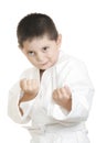 Challenging little karate kid Royalty Free Stock Photo