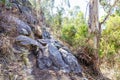 Sugarloaf Peak Hike near Marysville in Australia