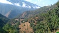 Chalti, champawat, uttarakhand Royalty Free Stock Photo