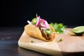 chalupa with pulled pork and red onions Royalty Free Stock Photo