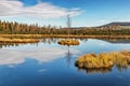 Chalupska Moor Lake near Borova Lada, Sumava Mountains, Czech Republic, Europe.