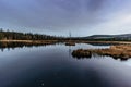 Chalupska Moor near village of Borova Lada, Czech republic. Beautiful reflection in a lake with single birch on island in Sumava