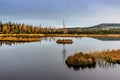 Chalupska Moor near village of Borova Lada, Czech republic. Beautiful reflection in a lake with single birch on island in Sumava