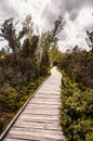 Chalupska moor path. Chalupska moor in summer, Sumava, National Park, Czech Republic. Travel destination. South Bohemia landscape.