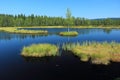 Chalupska pond in Bohemian Forest