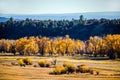 Chama valley, NM, in fall
