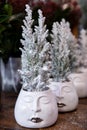 Chamaecyparis lawsoniana Ellwoodii cypress trees decorated with artificial snow pottted in a garden shop, December.