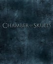 Chamber of Skulls Poster Artwork Original Background Texture