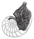 Chambered Nautilus or Nautilus pompilius, vintage engraved illustration Royalty Free Stock Photo