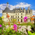 Chambord Royalty Free Stock Photo