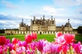 Chambord castle, France Royalty Free Stock Photo