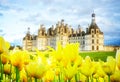 Chambord castle, Loire valley,F rance Royalty Free Stock Photo