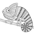 Chameleon. Adult antistress coloring page