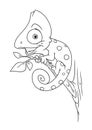 Chameleon animal coloring pages cartoon