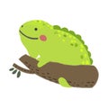 Chameleon animal drawing illustration isolated