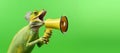 Chameleon announcing using megaphone. Notifying, warning, announcement
