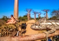 Chameleon and baobabs