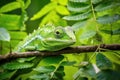 a chameleon blending in with tropical green foliage