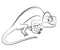 Chameleon cartoon