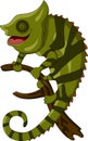 Chameleon cartoon smiling