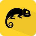 Chameleon. chamaeleon icon. Lizard pet. Reptile wildlife. Animal sign. Squamate creature. Arboreal fauna. Vector illustration.